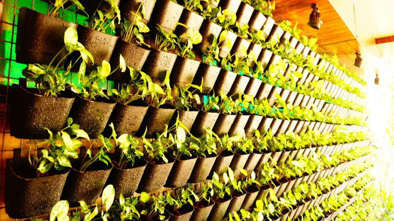 Thayamkery's Royal Inn Kochi Bagian luar foto